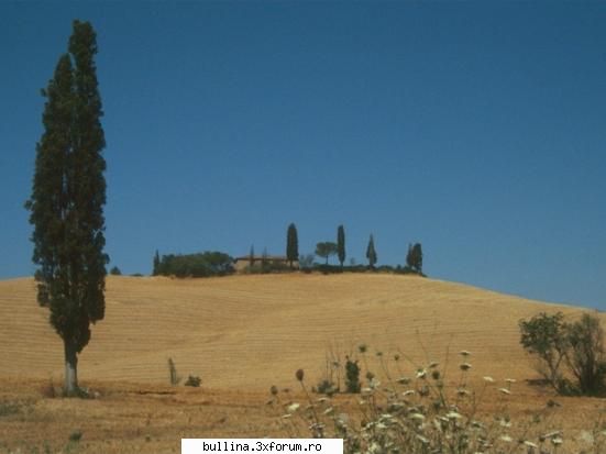 peisaje